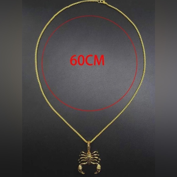 Scorpion Charm Necklace Alloy - Picture 3 of 3